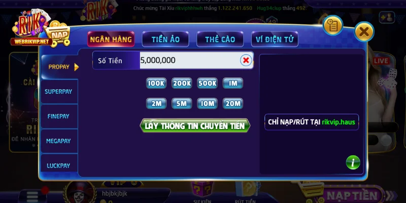 Câu Hỏi Thường Gặp Về Rikvip – Tài Khoản Và Truy Cập 2026 Các bước cần kiểm tra trước khi xác nhận lệnh nạp