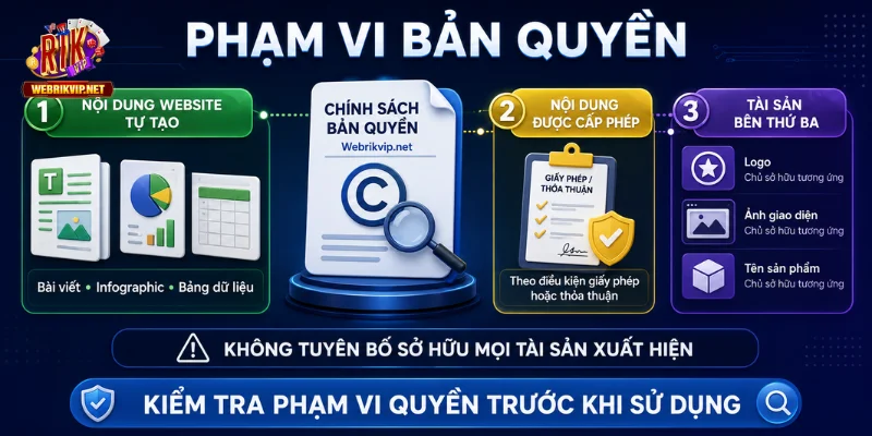 Chính sách bản quyền của website Webrikvip.net